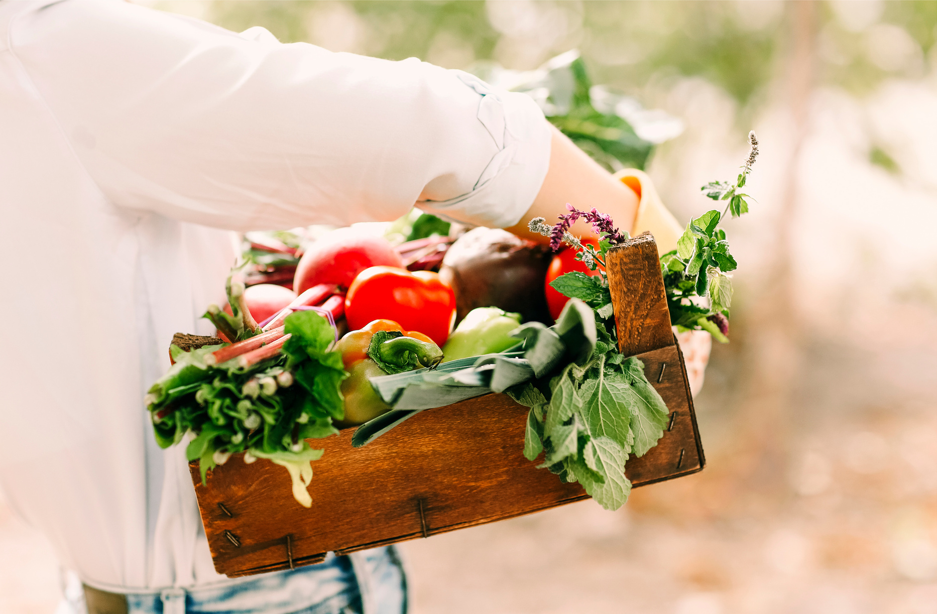 Crop Female Gardener Showing Vegetables